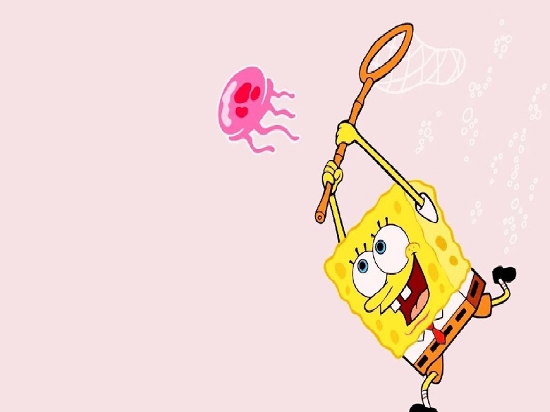 teng洲试管医院,试管ipn什么意思