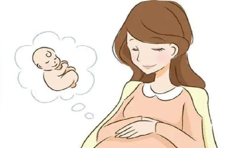 大白供卵试管代生